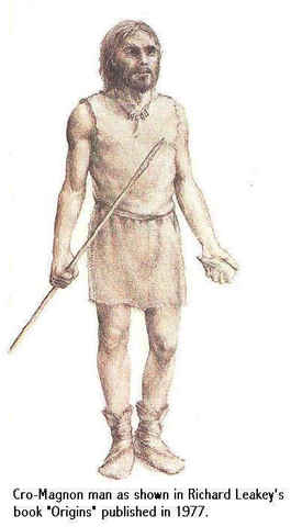 Homo sapiens sapiens