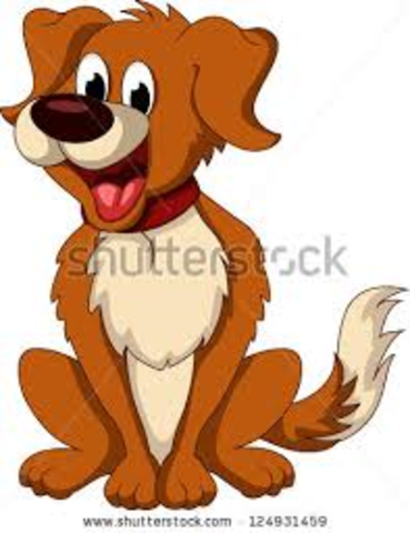 J'ai eu mon premier chien