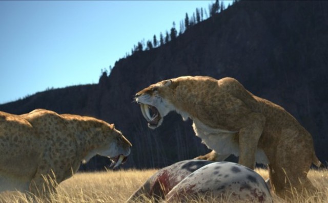 Tigre Dientes de Sable - Smilodon