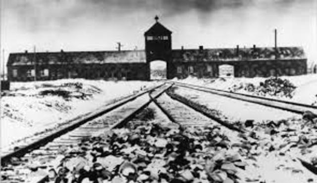 The Holocaust Begins