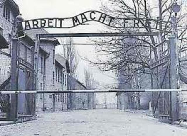 Mass murdering at Auschwitz begins