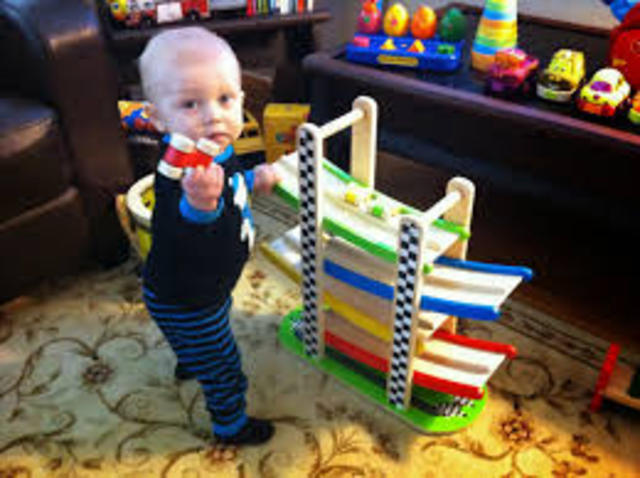 COGNITIVE: 16-18 MONTH TODDLER