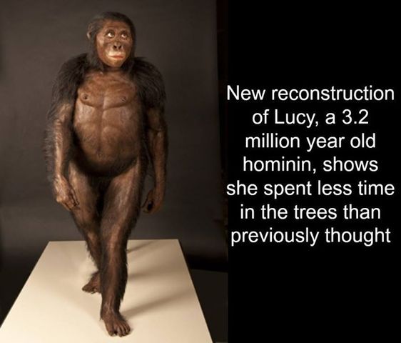 Lucy is Discovered
