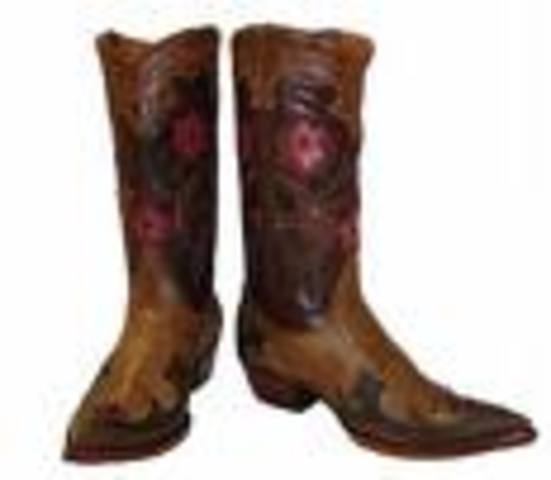 Birth of Phoebe Ann Oakley