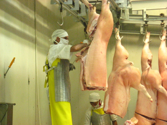 Inicia operaciones la planta de desposte