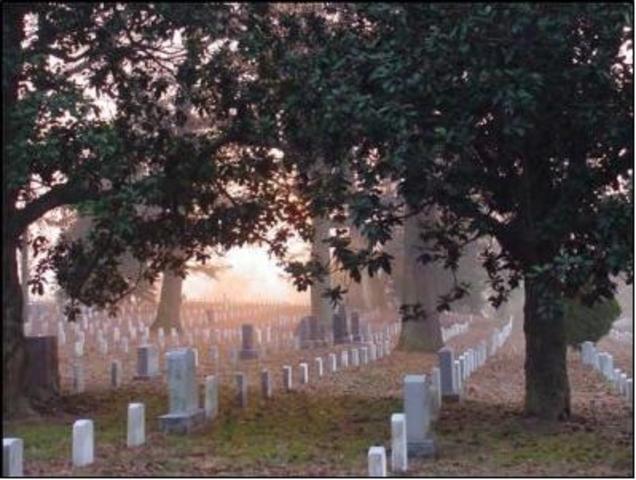 Arlington National Cemetery