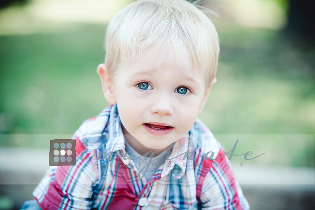 22-24 months cognitive development