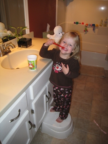 30- 36 months Cognative Development