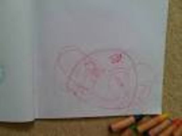 22 to 24 Months Cognitive