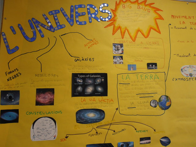 PROYECTOS EXPERIMENTALES PRIMER CICLO