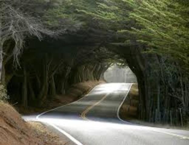 He andado muchos caminos