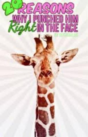 20 Reasons why I Punched Him Right in the Face.