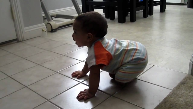 King Sosa at 12-15 Months : Physical