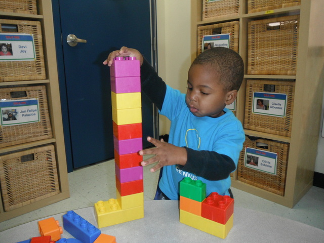 30-36 Months : Cognitive