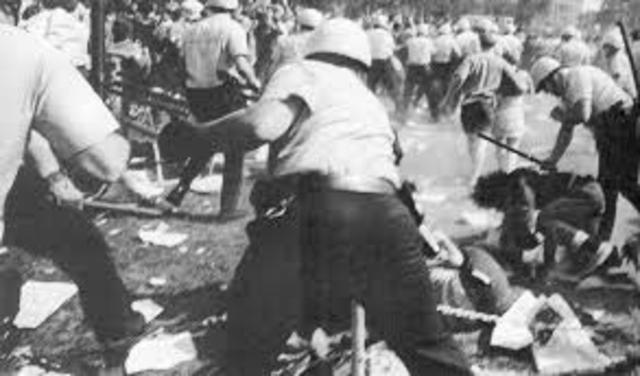 Phoenix Election Riot