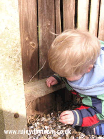 Cognative Development 19-21