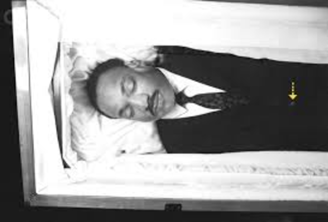 Assassination of Mlk Jr