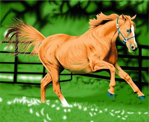 Equus poterat currere celeriter, et Iacobus mox est prope Magistrum!