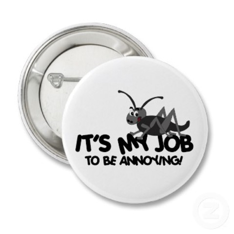 Iacobus Bauer identidem vexabat Magistrum.