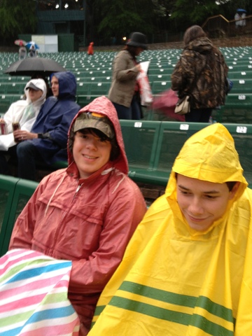 Willie nelson concert