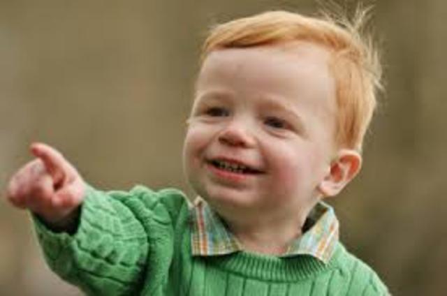 24-30 Months: Cognitive