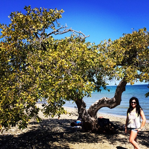 2 SS en Bahia Magdalena