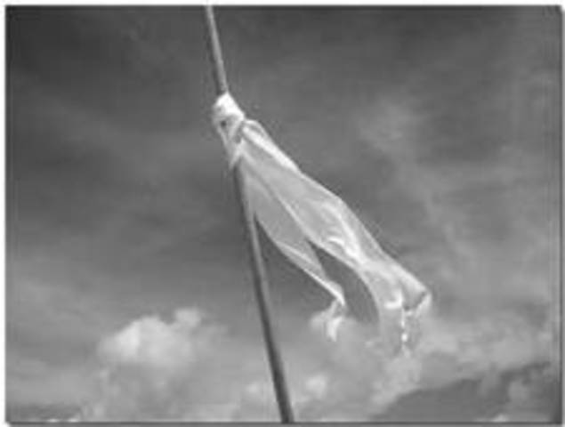 France officially surrenders to Nazi Germany