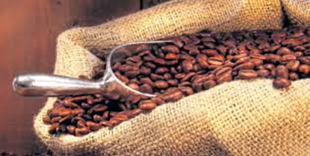 Coffee prices drop, effecting Rwanda economy