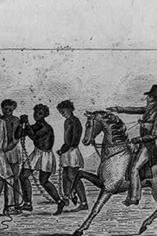 The Expansion Of Slavery