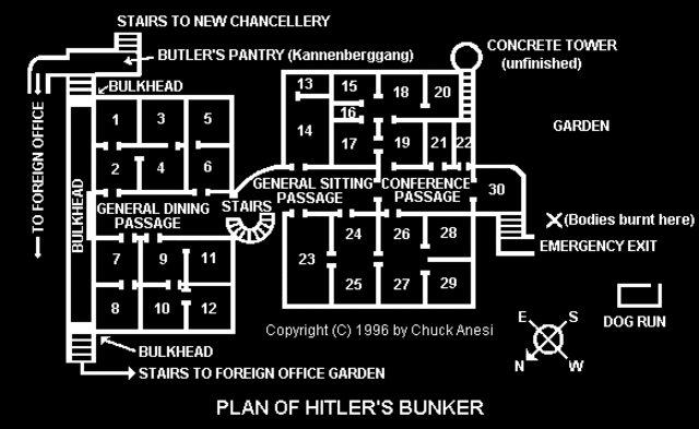 Hitler's Suicide By Jarod