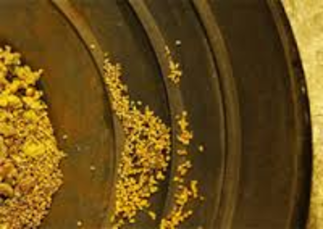 California Gold Rush