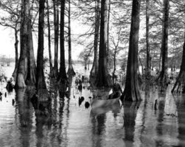 Reelfoot Lake