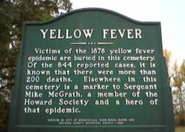 Yellow fever