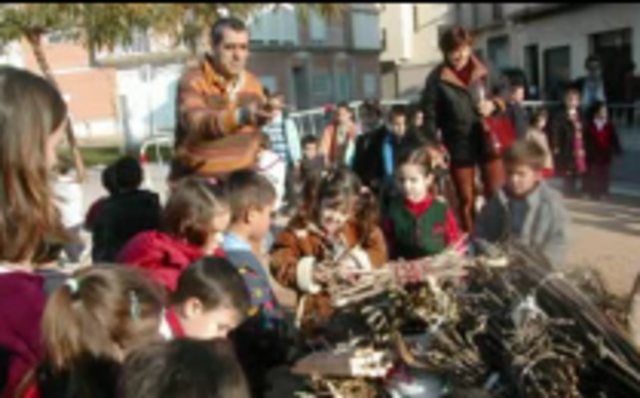 LA HOGUERA DE SAN ANTONIO