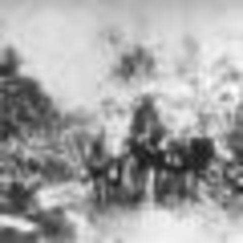 Fin de la guerra Colombo Peruana