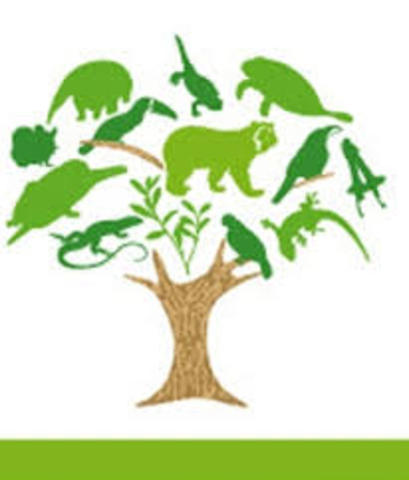 Reunion de asociaciones nortamericanas