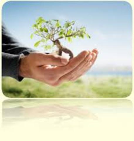 Educación ambiental vs educación para la sustentabilidad