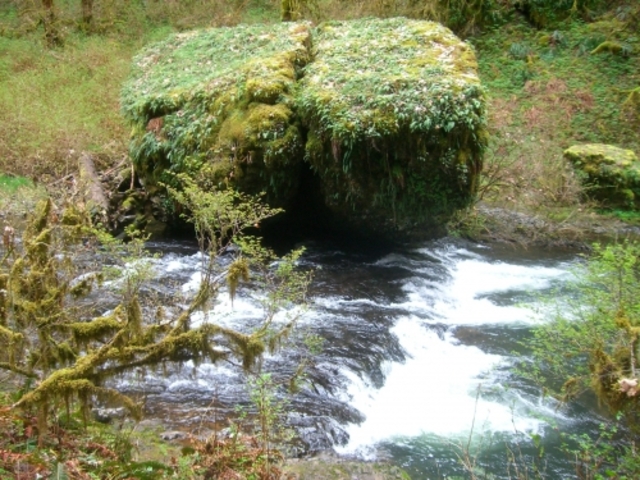 Ten Falls Canyon trail #4