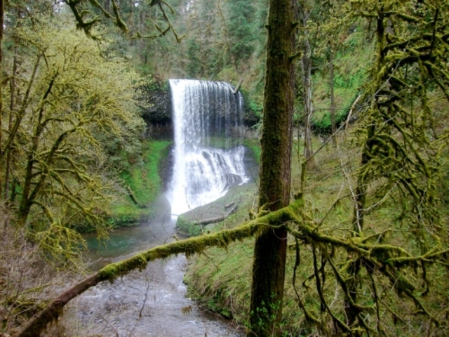 Ten Falls Canyon trail #3