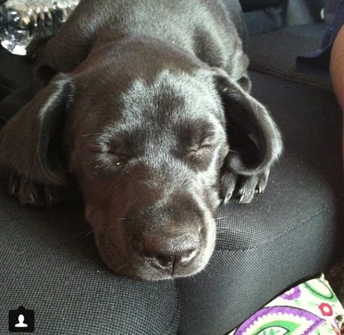 New Family Member (-: