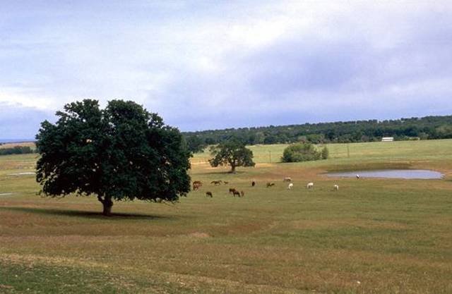 Stephen F. Austin Gains Land in Texas