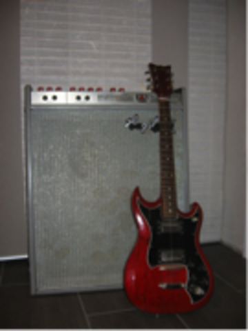 The first fretless Bass Aubi.