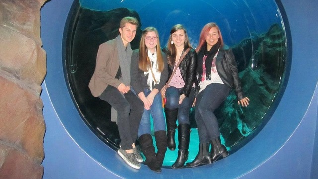 Birthday at the Aquarium