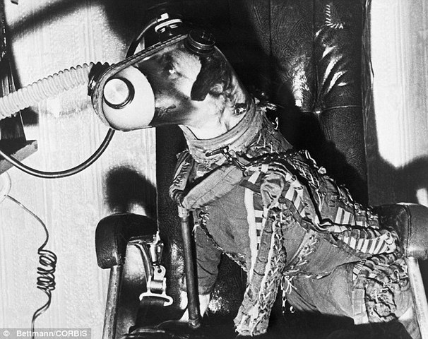First dog to go into space