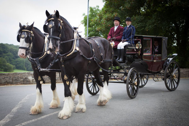 New friends are trouble.