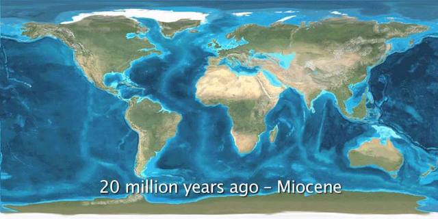 Oligocene, Miocene, and Pliocene epoch timeline | Timetoast timelines