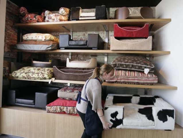 PET COMPANY BOUTIQUE