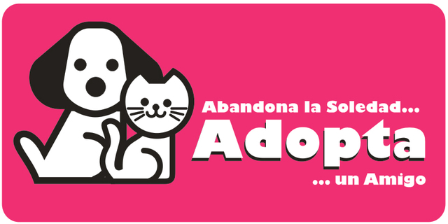 PET COMPANY en "Fundación Adopta una mascota".
