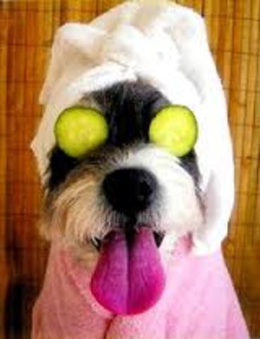 Nuevo programa: El Perfecto SPA.