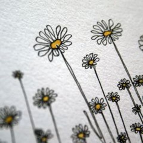 62 Days Later- Daisies and a payphone